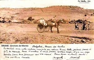 Oran 098